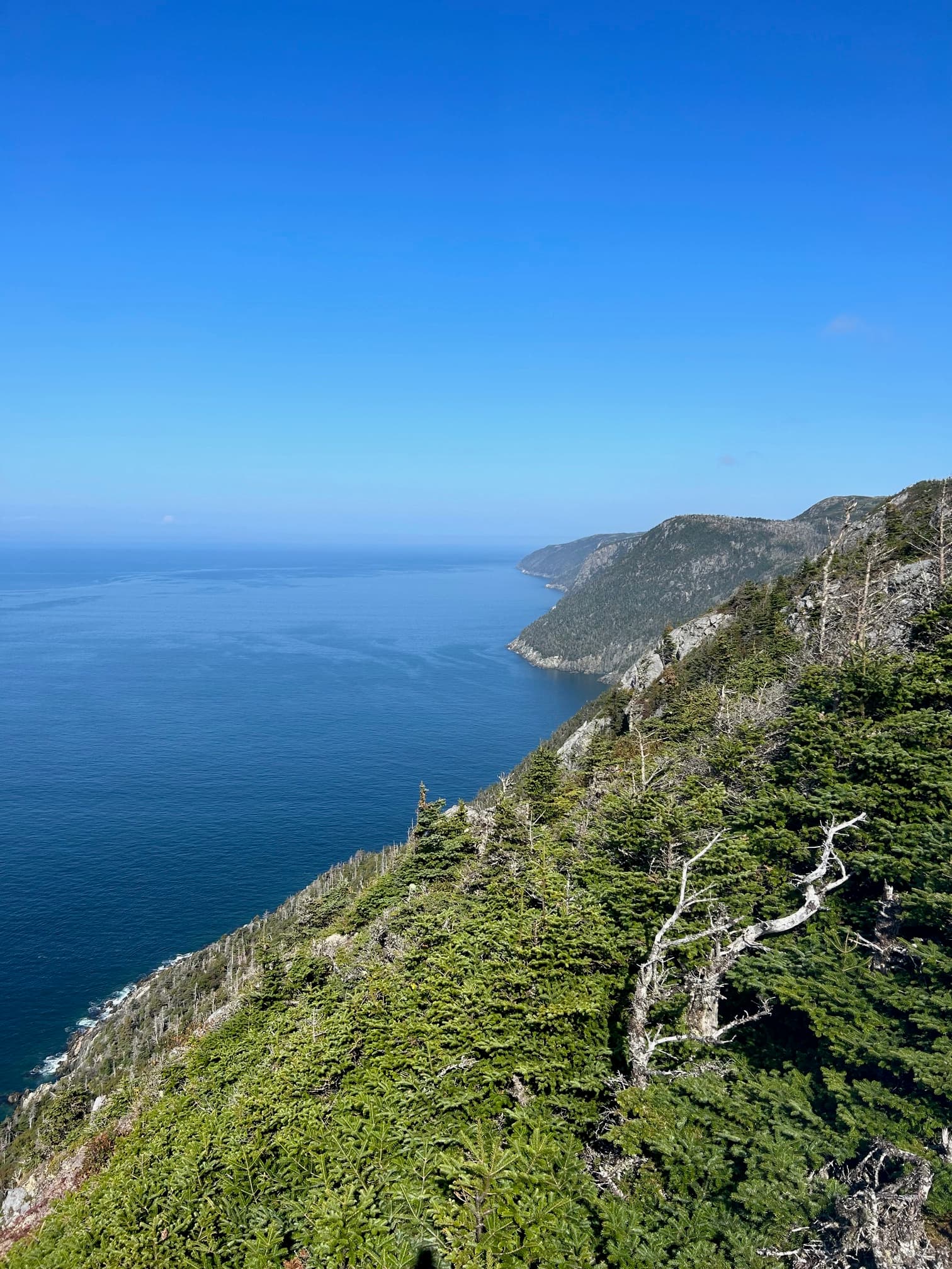 Lookout point facing the sea