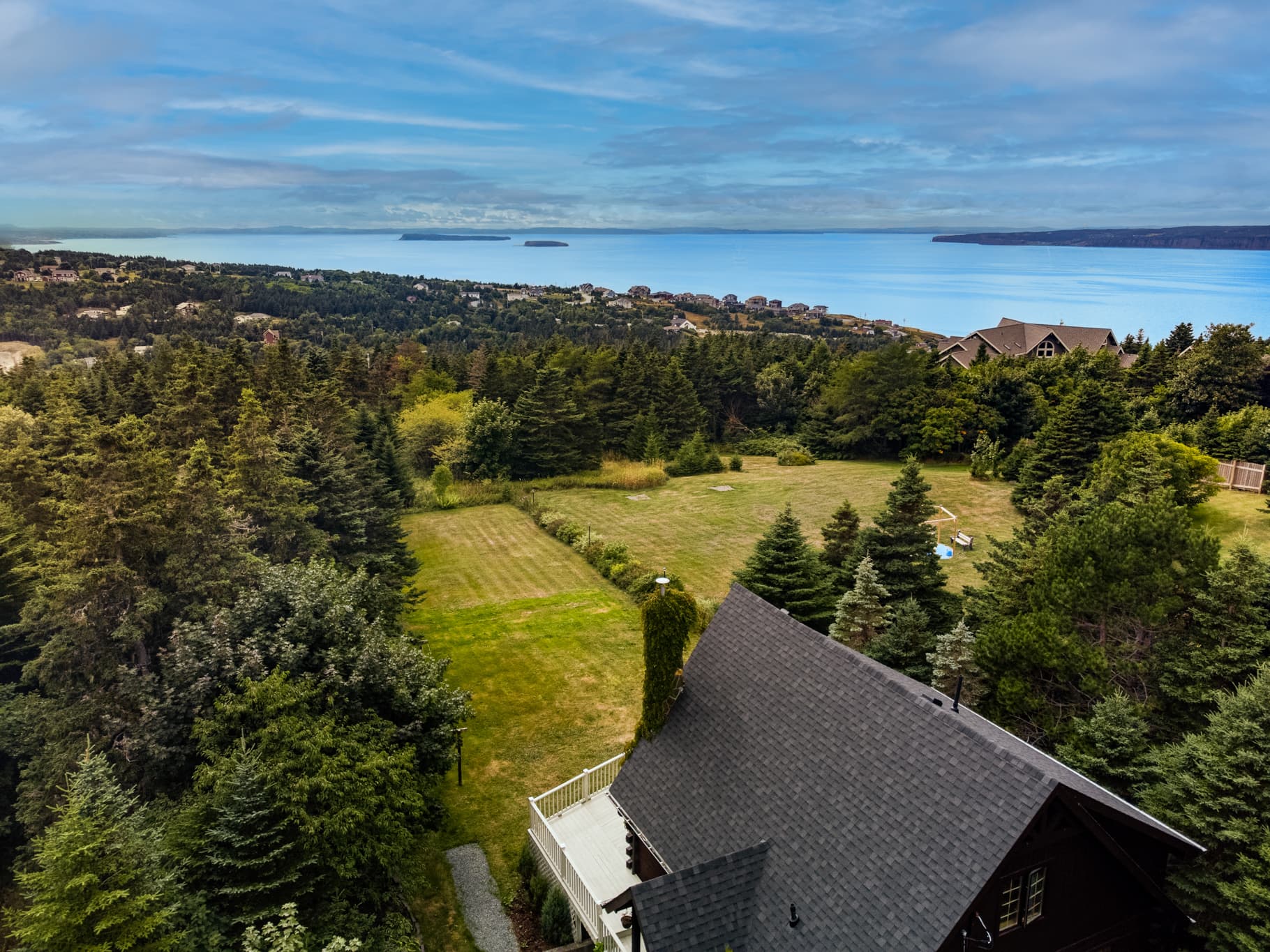 Aerial of backyard, trees, and sea beyond